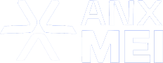 Logo Footer
